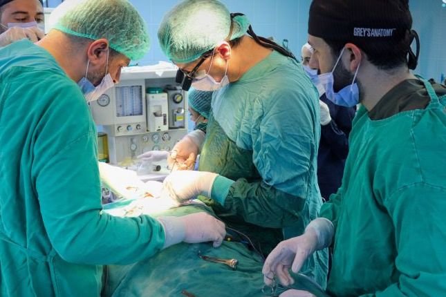 Syrische Mediziner im Ausland: 2000 Operationen bei Hilfseinsätzen