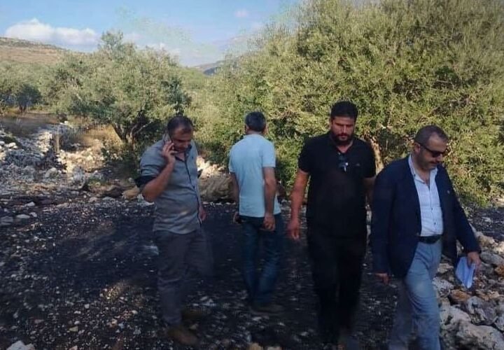 Illegale Köhlerei gestoppt: Große Mengen Holz in Tartus beschlagnahmt