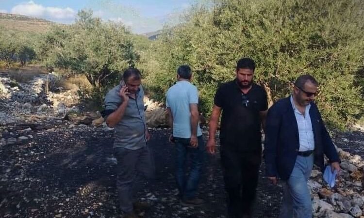 Illegale Köhlerei gestoppt: Große Mengen Holz in Tartus beschlagnahmt