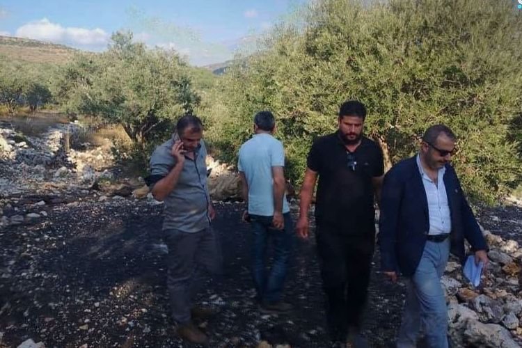 Illegale Köhlerei gestoppt: Große Mengen Holz in Tartus beschlagnahmt
