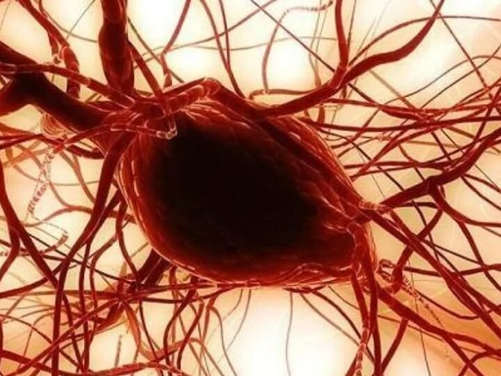Wissenschaftliche Entdeckung: Wangenfett zur Regeneration von Hornhaut und Knochen