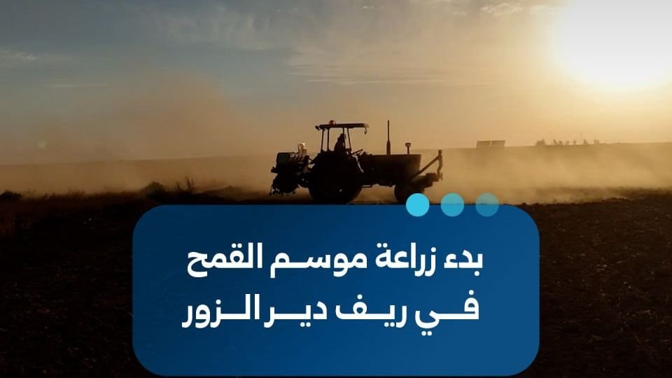 Beginn der Weizensaat in der Region Deir ez-Zor