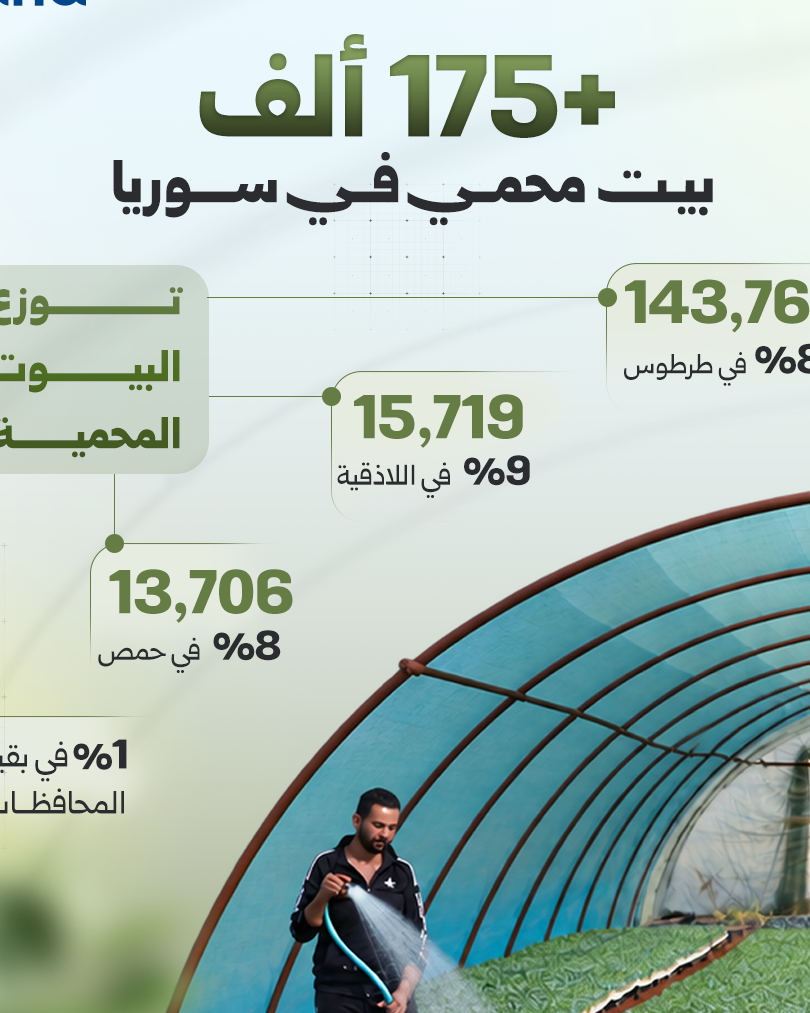 Geschützter Anbau in Syrien: Versorgung mit Gemüse sichern