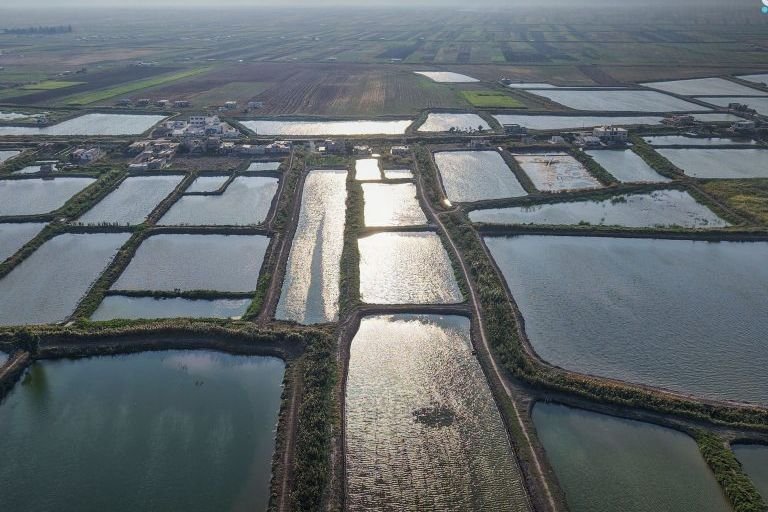 Fischzucht in al-Ghab: Herausforderungen und Wachstumspläne
